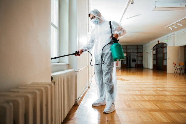 Professional Pest Control in Lake Dunlap, TX